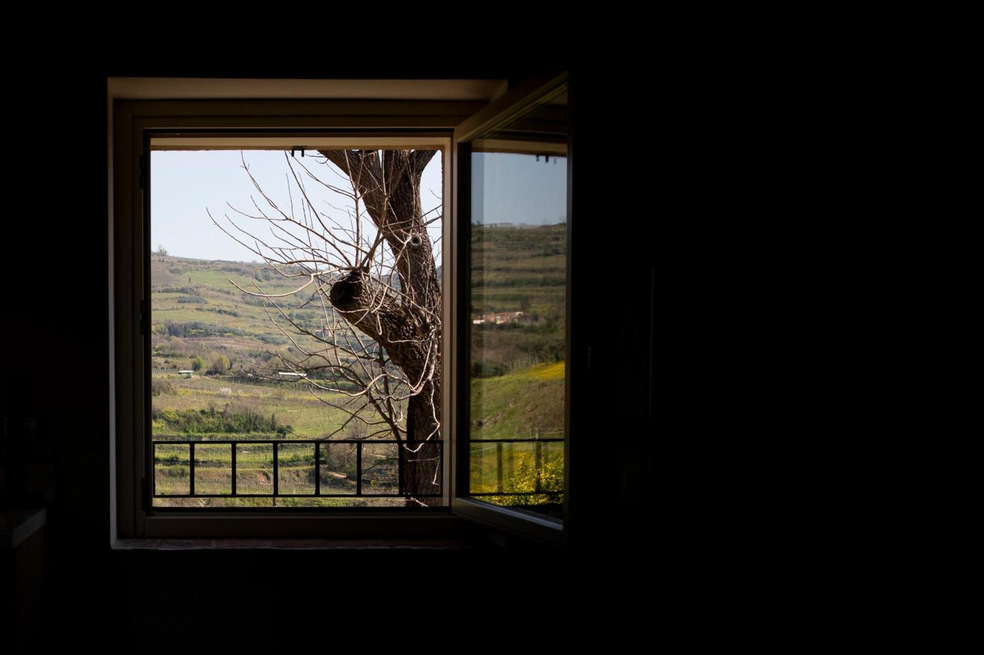 Corte Dei Soavi Suites - Apartments Soave  Luaran gambar